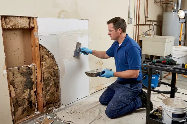 Mold and Drywall Repair Lynnwood