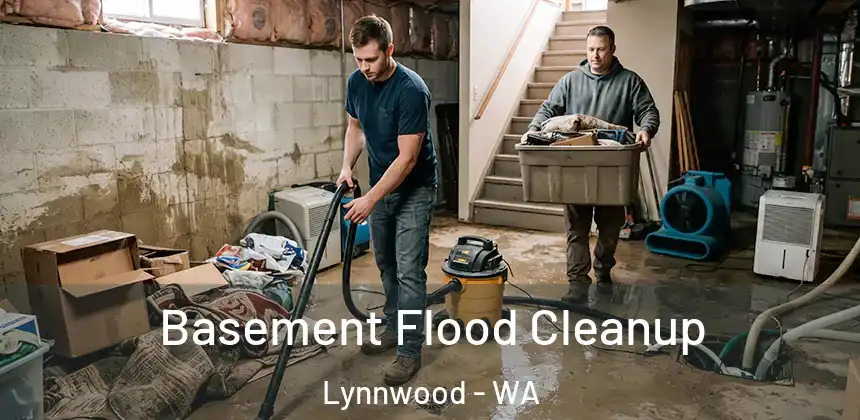  Basement Flood Cleanup Lynnwood - WA