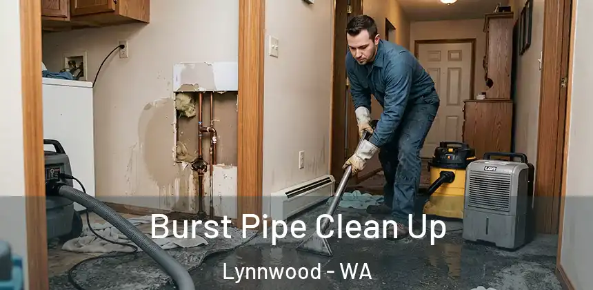  Burst Pipe Clean Up Lynnwood - WA