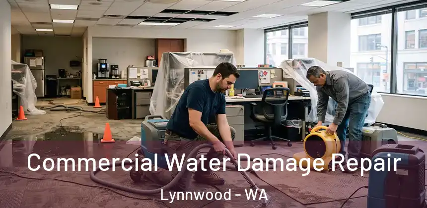  Commercial Water Damage Repair Lynnwood - WA