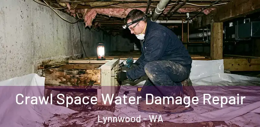  Crawl Space Water Damage Repair Lynnwood - WA