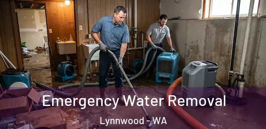  Emergency Water Removal Lynnwood - WA