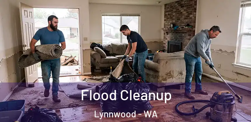 Flood Cleanup Lynnwood - WA