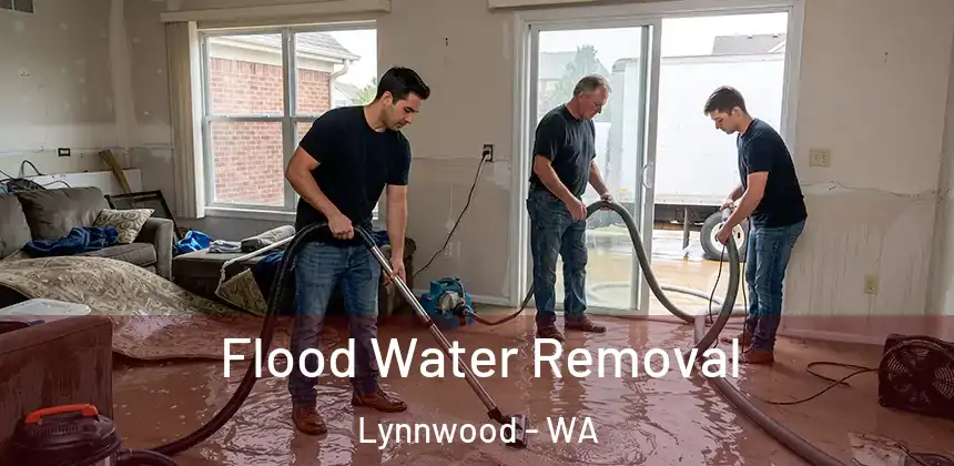  Flood Water Removal Lynnwood - WA