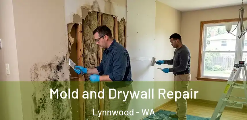  Mold and Drywall Repair Lynnwood - WA