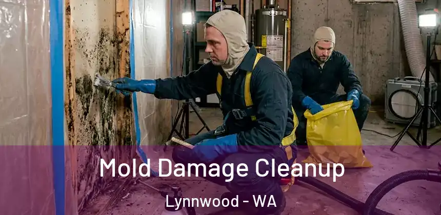 Mold Damage Cleanup Lynnwood - WA
