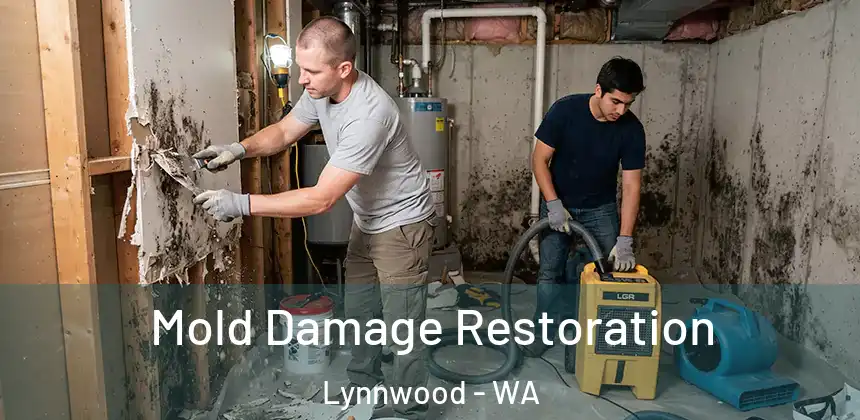  Mold Damage Restoration Lynnwood - WA