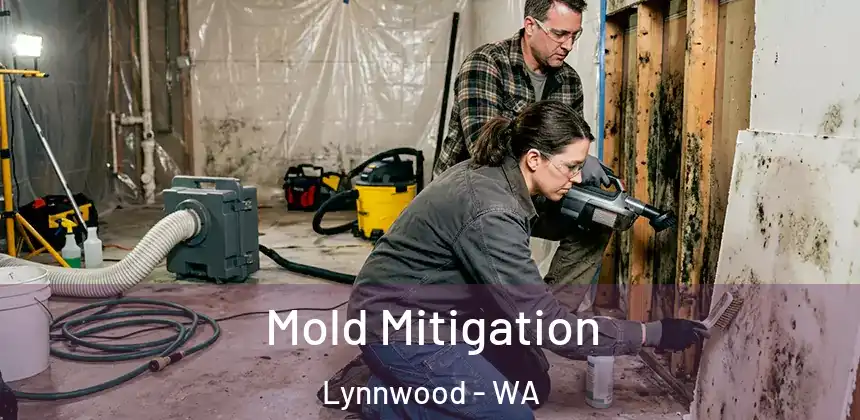 Mold Mitigation Lynnwood - WA