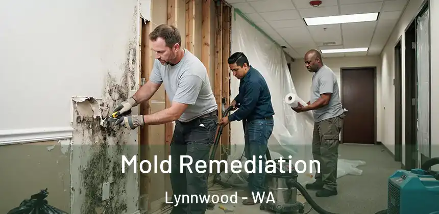  Mold Remediation Lynnwood - WA