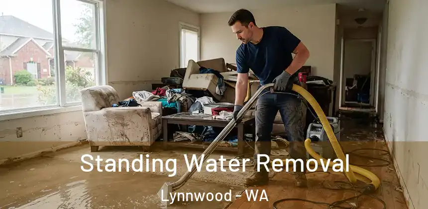 Standing Water Removal Lynnwood - WA