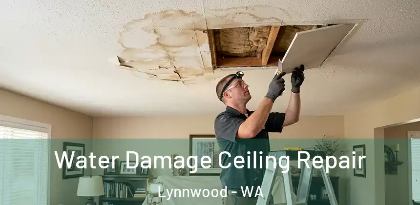  Water Damage Ceiling Repair Lynnwood - WA
