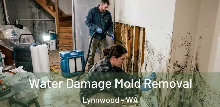 Water Damage Mold Removal Lynnwood - WA