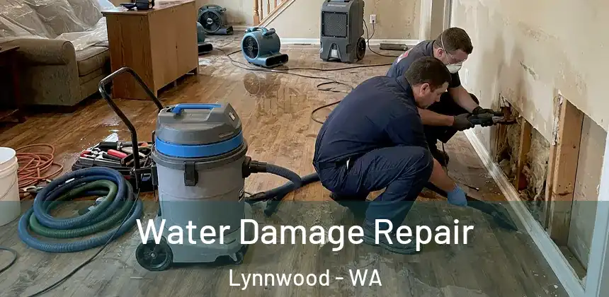  Water Damage Repair Lynnwood - WA