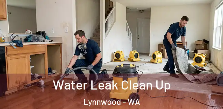  Water Leak Clean Up Lynnwood - WA
