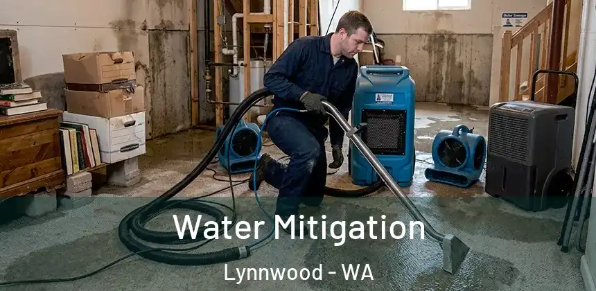 Water Mitigation Lynnwood - WA