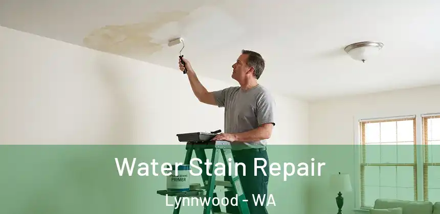  Water Stain Repair Lynnwood - WA